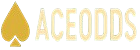 Partner 1 Logo